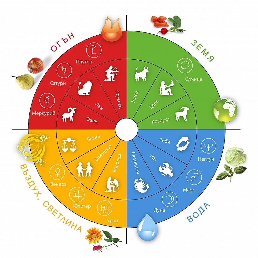 БИО ЗЕМЕДЕЛИЕ ЗАГЛАВНА СНИМКА