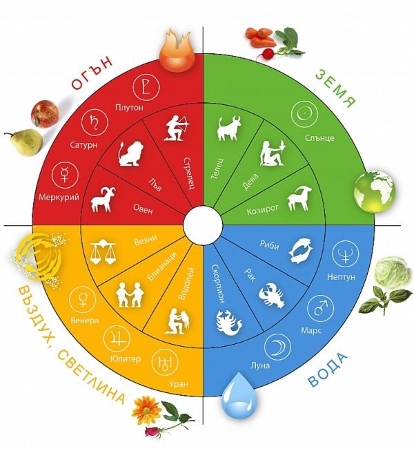 БИО ЗЕМЕДЕЛИЕ ЗАГЛАВНА СНИМКА
